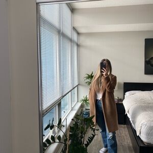 Aritzia Babaton Stedmam Coat - Size XS